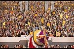 Minions picture