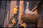 Minions picture