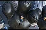 Minions picture