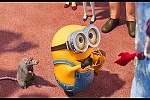 Minions picture