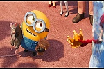 Minions picture