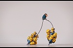 Minions picture