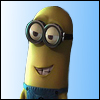 Tim