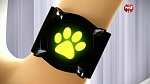 Image Miraculous, les aventures de Ladybug et Chat Noir S1