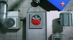 Image Miraculous, les aventures de Ladybug et Chat Noir S1