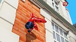 Image Miraculous Ladybug : Le Dislocœur
