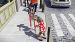 Image Miraculous, les aventures de Ladybug et Chat Noir S1