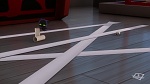 Image Miraculous, les aventures de Ladybug et Chat Noir S1