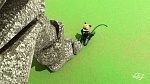 Image Miraculous, les aventures de Ladybug et Chat Noir S1