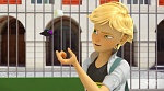 Image Miraculous, les aventures de Ladybug et Chat Noir S1