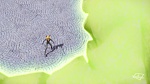 Image Miraculous, les aventures de Ladybug et Chat Noir S1