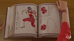 Image Miraculous Ladybug : Volpina