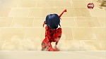 Image Miraculous, les aventures de Ladybug et Chat Noir S1