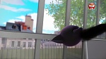 Image Miraculous, les aventures de Ladybug et Chat Noir S2