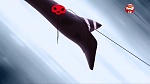Image Miraculous, les aventures de Ladybug et Chat Noir S2