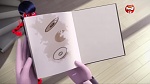Image Miraculous, les aventures de Ladybug et Chat Noir S2