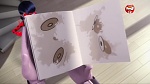 Image Miraculous, les aventures de Ladybug et Chat Noir S2
