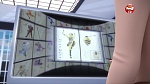 Image Miraculous, les aventures de Ladybug et Chat Noir S2