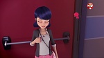 Image Miraculous, les aventures de Ladybug et Chat Noir S2