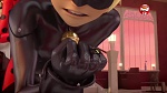 Image Miraculous, les aventures de Ladybug et Chat Noir S2