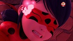 Image Miraculous Ladybug : Le Hibou Noir