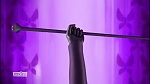Image Miraculous, les aventures de Ladybug et Chat Noir S2
