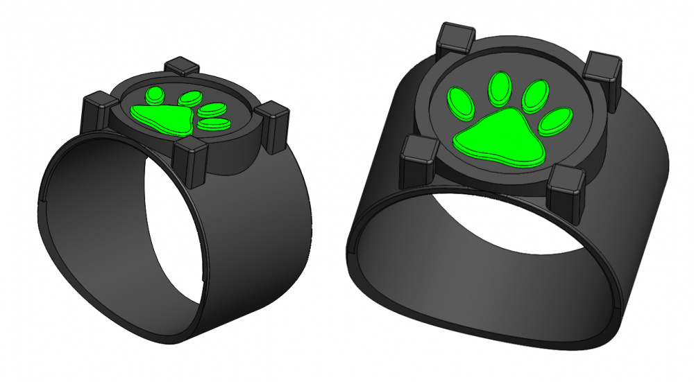 Miraculous Chat Noir