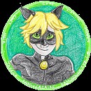Badge Chat Noir