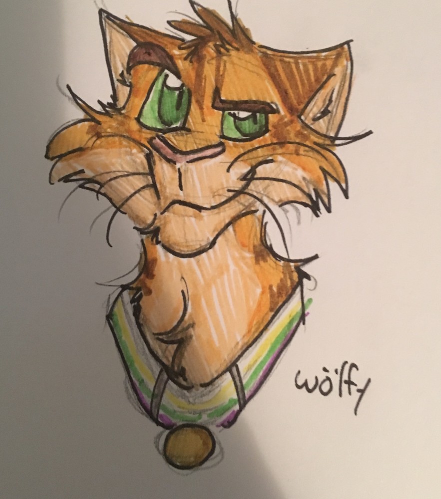 Miraculous warrior cats au 