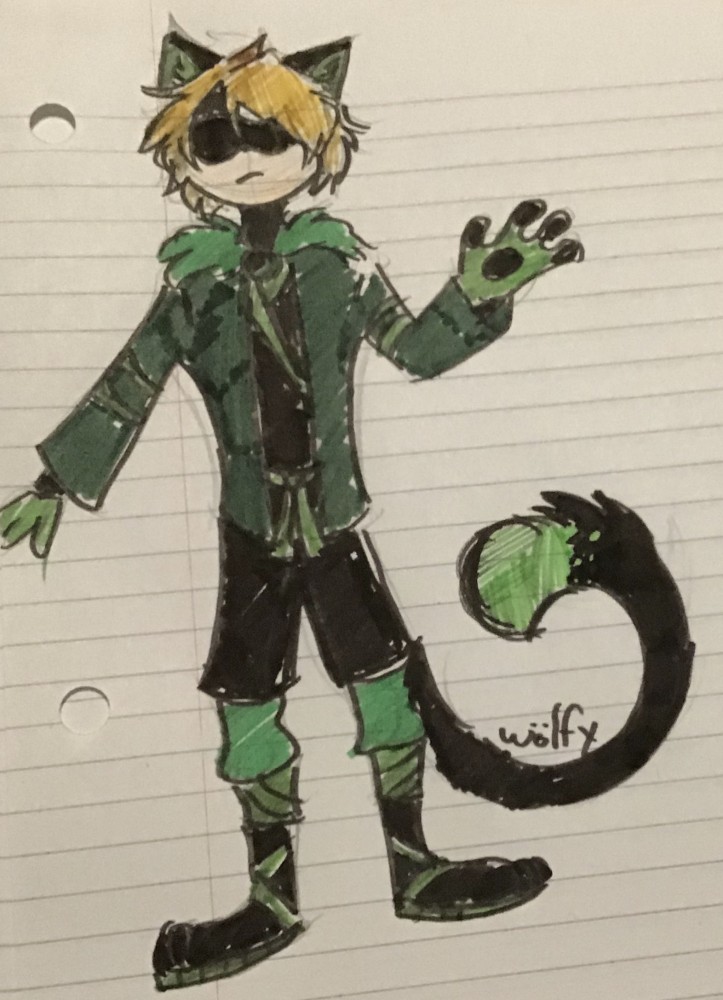 Chat noir redesign 
