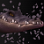 Fang