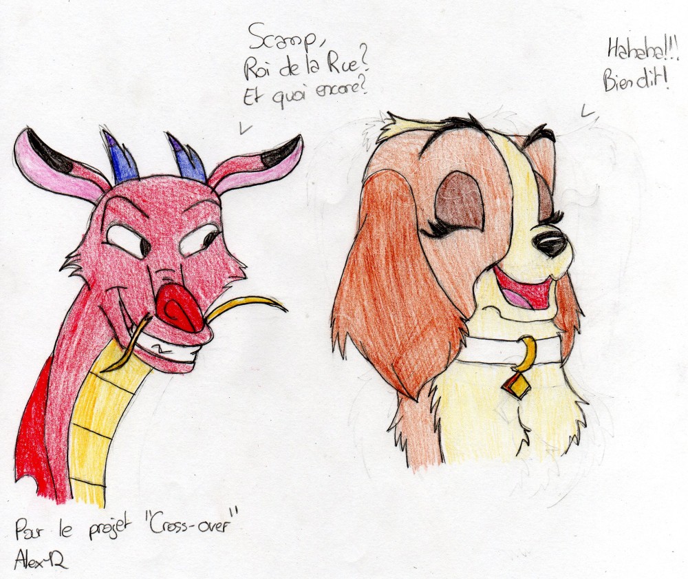 Projet Cross-Over