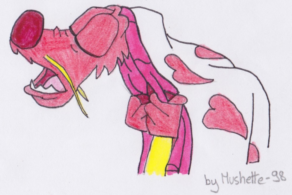 Mushu, Mushu et encore Mushu !!