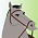 Cheval de Shang