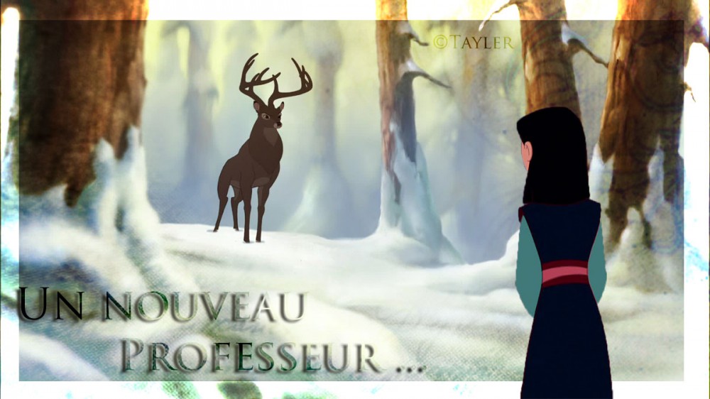 Projet Surprise 