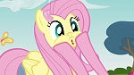Image Mon Petit Poney - Les amies c'est magique S3