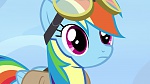 Image Mon Petit Poney : Wonderbolts Academy