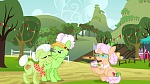 My Little Pony : Apple Family Reunion picture