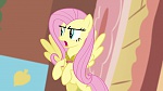 Image Mon Petit Poney - Les amies c'est magique S3