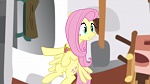Image Mon Petit Poney - Les amies c'est magique S3
