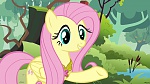 Image Mon Petit Poney - Les amies c'est magique S3