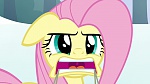 Image Mon Petit Poney - Les amies c'est magique S3