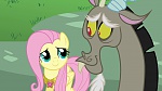 Image Mon Petit Poney - Les amies c'est magique S3