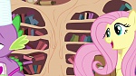 Image Mon Petit Poney - Les amies c'est magique S3