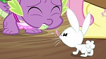 Image Mon Petit Poney - Les amies c'est magique S3