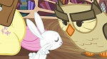 Image Mon Petit Poney - Les amies c'est magique S3