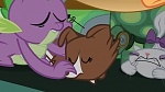 Image Mon Petit Poney - Les amies c'est magique S3