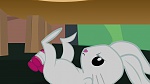 Image Mon Petit Poney - Les amies c'est magique S3
