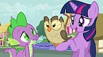 Image Mon Petit Poney - Les amies c'est magique S3
