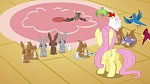 Image Mon Petit Poney - Les amies c'est magique S3